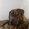 Russell Pine - @russell.pine - TikTok