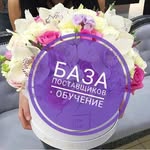 База поставщиков+обучение🎓 - @_baza_postavshikov_russia_ - Instagram