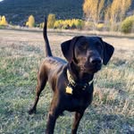 Russ Potter - @russpotter - Instagram