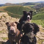 Russ Powell - @poweller34 - Instagram