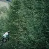 Russ Purdy - @craig20186 - TikTok