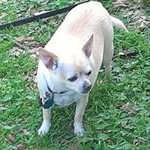 Russ Randall - @russ.randall - Instagram