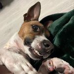 Russ - @russnottherapper - Instagram