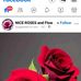 Ross Raymond - Facebook