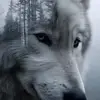 Russ - @russ.reece6 - TikTok