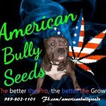 Russ Reed - @player1dog1 - Instagram