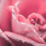 Russ Reeves - @russreeves9 - Instagram