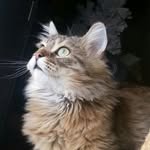 Russ Robbins - @russ_robbins - Instagram