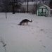 Russ Rupp - Facebook