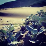 Russ Sappho - @russsappho - Instagram