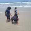 Russell Sapp855 - @russellsapp855 - TikTok