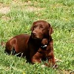 Ty Russel - @ty_savage_russell - Instagram