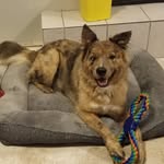 Russ Schmidt - @russ.schmidt.33 - Instagram