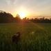 Russ Sutton - Facebook
