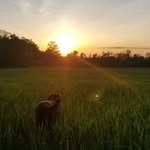 Russ Sutton - @rusutton58 - Instagram