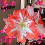 Nancy Russ Wise - @nancywise52 - Instagram