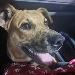 Russ Wright - @russ_on_the_rode - Instagram