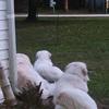 Russ Wright - @russ.wright - TikTok