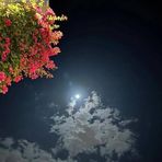 Russell Abdo - Facebook