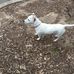 Russell Amos - Facebook