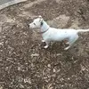 Russell Amos - @russell.amos - TikTok