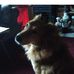 Russell Babb - Facebook