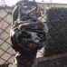 Russell Barker - Facebook