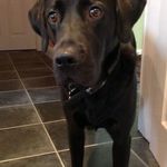 Russell Barker - @russell.barker.9047 - Instagram