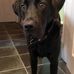 Russell Barker - Facebook