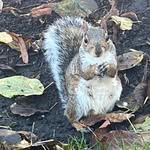 Russell Barker - @russellbarker128 - Instagram