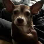 russell beard - @russellbe7928 - Instagram