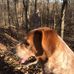 Russell Benson - Facebook