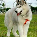 russell benson - @russellbenson60 - Instagram