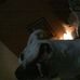 Russell Blaylock - Facebook