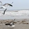russellbohn05 - @russellbohn05 - TikTok