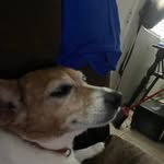 Russell Boylan - @russell.6502 - Instagram