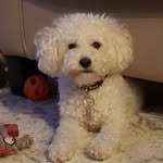 @brinkley.russell - Instagram