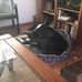 Russell Webster-Brink - Facebook