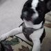 Russell Britton - Facebook