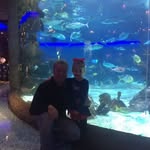 Russell Bruce - @russellbrucemiami - Instagram