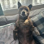 Russell Brushett - Facebook