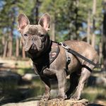 Buck Russell Botthof - @_buck.russell_ - Instagram