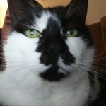 Russell Buck - @russellbuck5326 - Instagram
