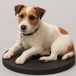 BUDDY JACK RUSSELL JAPAN - @buddy_jack_russell - Instagram