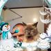 Russell Budd - Facebook