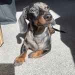 Russell Thanos Wring - @russellburgermans - Instagram