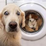 Russell Burt - @russell.burt.68 - Instagram