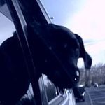 russell burt - @burtie_germ - Instagram