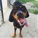 Rusty Carmichael - @carmichael.russell - Instagram