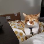 Vonetta Russell Cartwright - @rtnomadvrc - Instagram